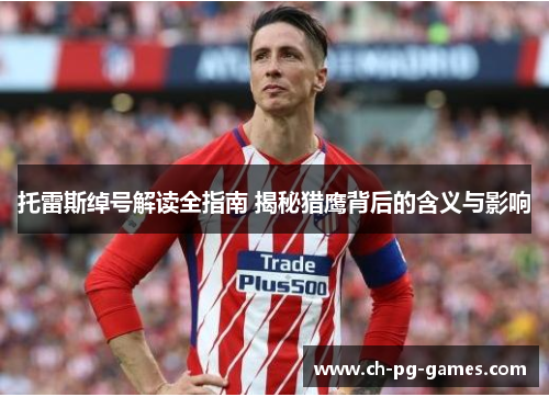 托雷斯绰号解读全指南 揭秘猎鹰背后的含义与影响